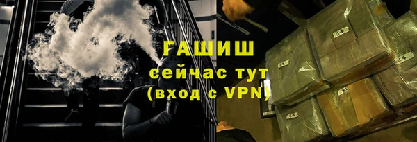 ГАЛЛЮЦИНОГЕННЫЕ ГРИБЫ Богданович
