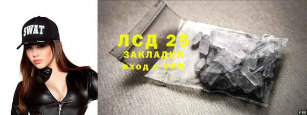 ГАЛЛЮЦИНОГЕННЫЕ ГРИБЫ Богданович