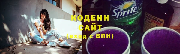 ГАЛЛЮЦИНОГЕННЫЕ ГРИБЫ Богданович
