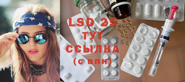 ГАЛЛЮЦИНОГЕННЫЕ ГРИБЫ Богданович