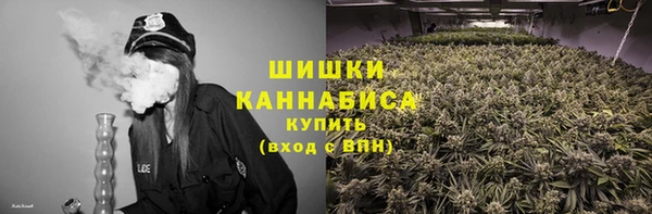 ГАЛЛЮЦИНОГЕННЫЕ ГРИБЫ Богданович