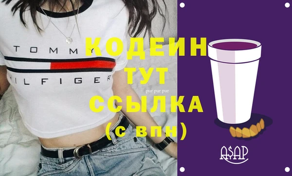 ГАЛЛЮЦИНОГЕННЫЕ ГРИБЫ Богданович